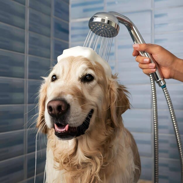 Golden retriever enjoying a soapy bath